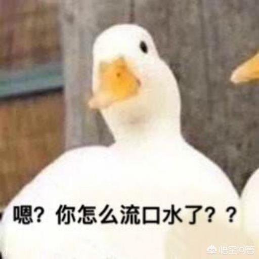 鸭的哪种做法最好吃？