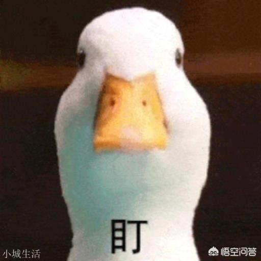 鸭的哪种做法最好吃？