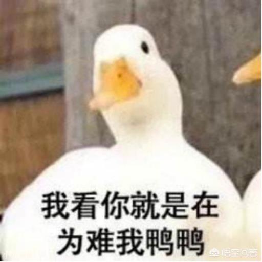 鸭的哪种做法最好吃？