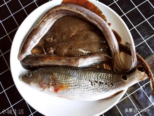 有的海鱼为什么比淡水鱼好吃？