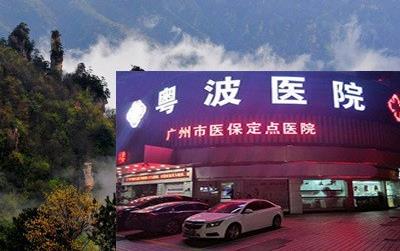 广州聋哑专家李全义主任引起的吗