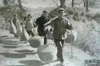 你經歷過或者聽老人講過生產隊的故事嗎？