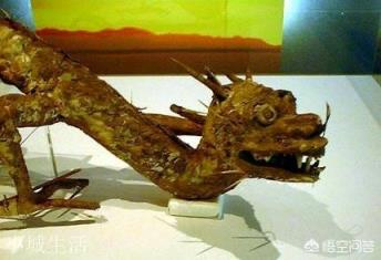 日本瑞龙寺存放的真龙标本和河童标本到底是不是真的？有没有做过科学鉴定？