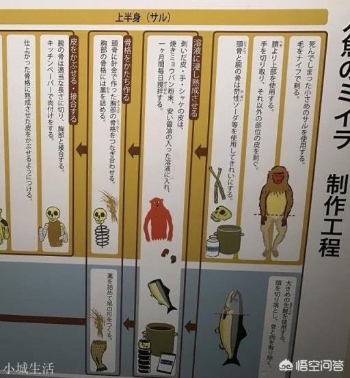 日本瑞龙寺存放的真龙标本和河童标本到底是不是真的？有没有做过科学鉴定？