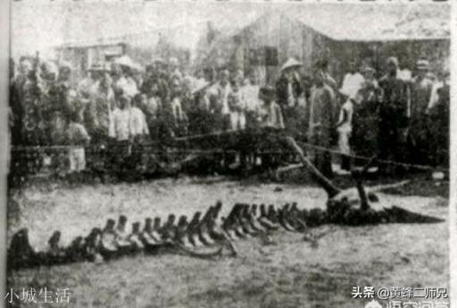 日本瑞龙寺存放的真龙标本和河童标本到底是不是真的？有没有做过科学鉴定？