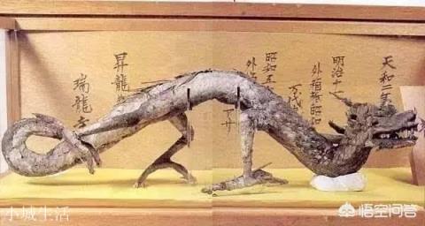 日本瑞龙寺存放的真龙标本和河童标本到底是不是真的？有没有做过科学鉴定？