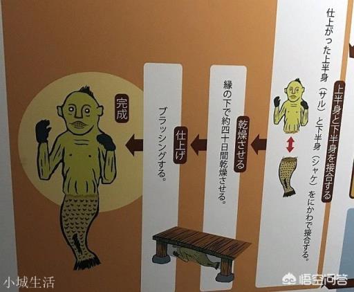 日本瑞龙寺存放的真龙标本和河童标本到底是不是真的？有没有做过科学鉴定？