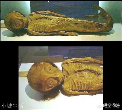 日本瑞龙寺存放的真龙标本和河童标本到底是不是真的？有没有做过科学鉴定？