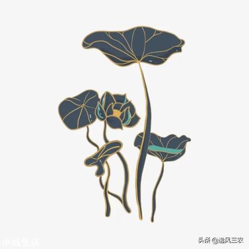 今天小暑,农村老人常说:“小暑热得透,大暑凉飕飕”,啥意思?