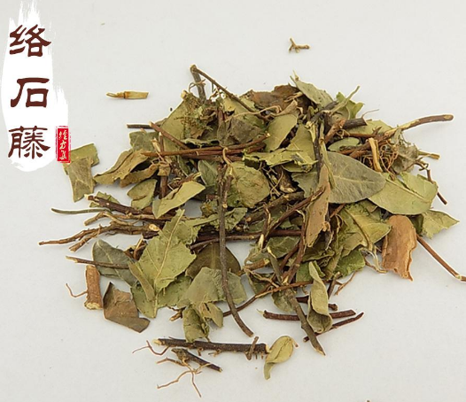 络石藤的功效与作用