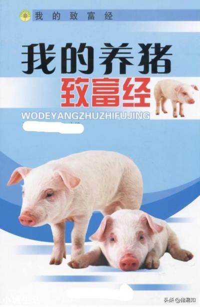 你认为农村中的大规模养殖业,是养肥猪划算还是母猪赚钱,为什么?