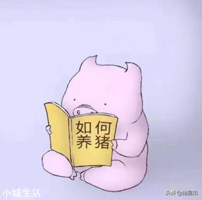 你认为农村中的大规模养殖业,是养肥猪划算还是母猪赚钱,为什么?