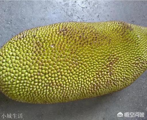 如何挑选菠萝蜜？