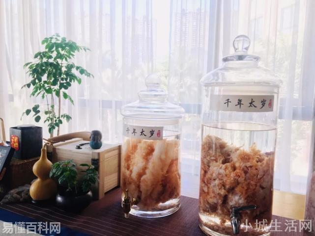 犯太岁是什么意思(犯太岁的网络用语是什么梗)