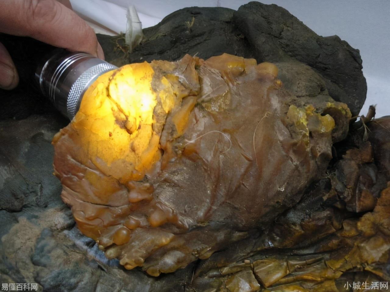 犯太岁是什么意思(犯太岁的网络用语是什么梗)