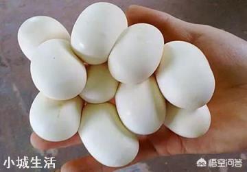 在农村的户外捡到很多的蛇蛋,蛇蛋有没有毒呢?可不可以吃呢?