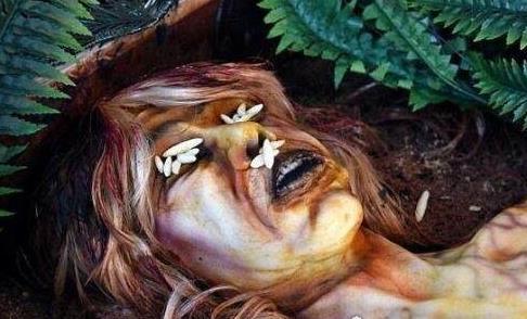 恐怖蛋糕超逼真超重口味的蛋糕 世界上最奇葩的蛋糕