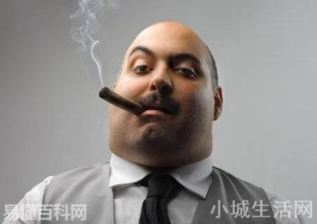 boss是什么意思(boss的网络用语是什么梗)