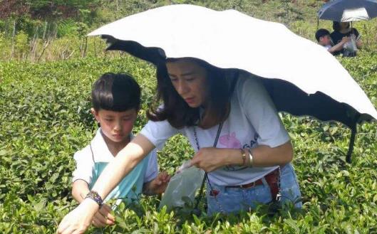 家长们一定要做好的功课 跟孩子一起亲子游
