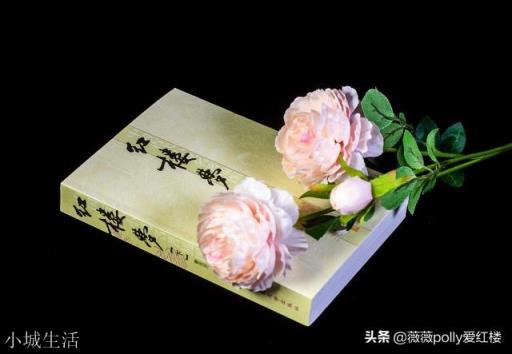 《红楼梦》里薛姨妈为何住进林黛玉的潇湘馆而不是薛宝钗的蘅芜院？