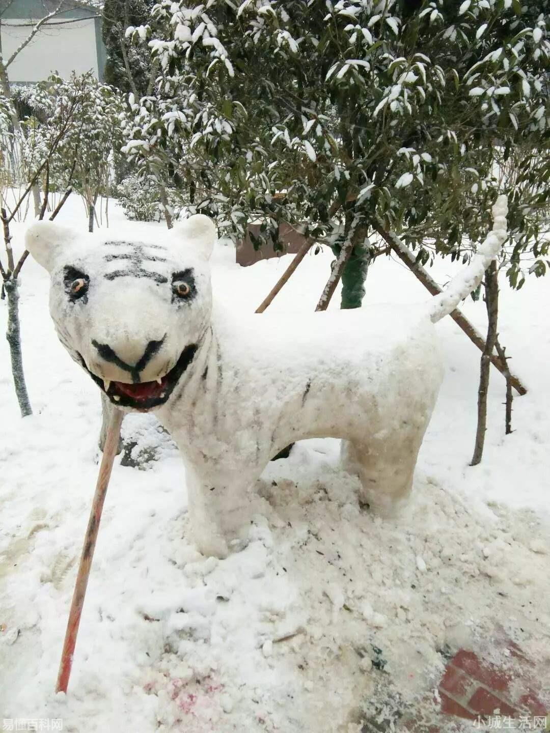 梦见下雪是什么意思(梦见下雪的网络用语是什么梗)