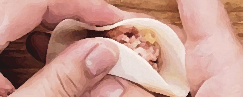 饺子是热水下锅还是冷水下锅