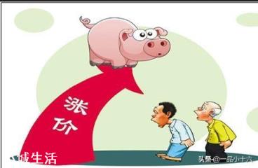再过十天猪价会涨吗？