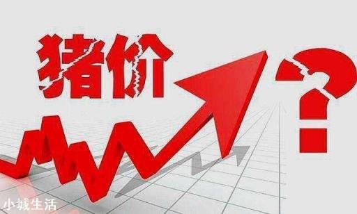 再过十天猪价会涨吗?
