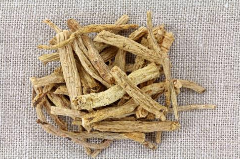 麦冬的功效与作用