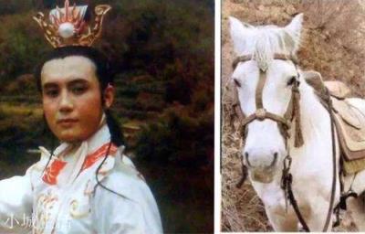 西游记中唐僧取经归来，唐太宗大宴群臣，小白龙为何哭着不辞而别？