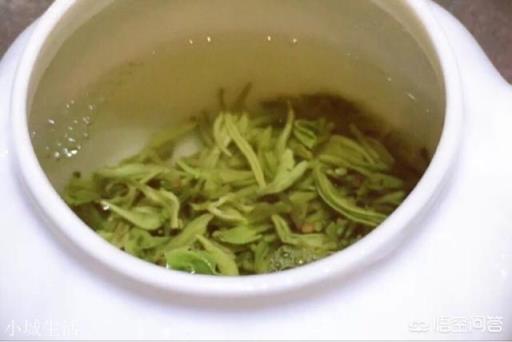 绿茶“留根泡”法，听过吗？