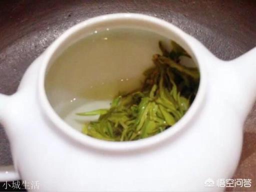 绿茶“留根泡”法，听过吗？