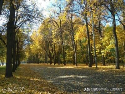 俄罗斯作为世界大国，到底富还是穷？俄罗斯人民生活的怎么样？