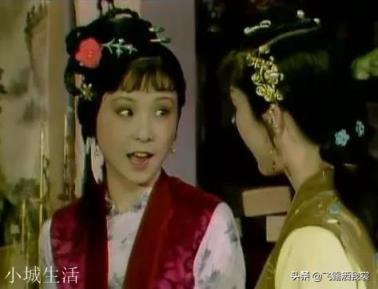 《红楼梦》中,晴雯想给贾宝玉当老婆吗?