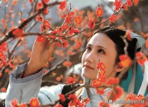 红楼梦女子中，谁最像年轻时的贾母？