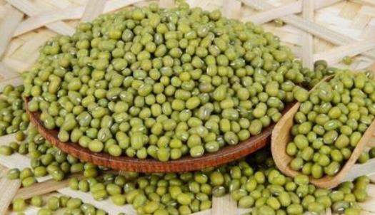 怎么选购绿豆?吃绿豆有哪些好处?