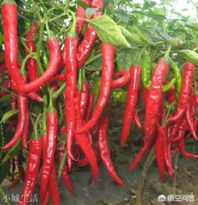有没有一道菜不论处在中国什么地域的人都觉得好吃？