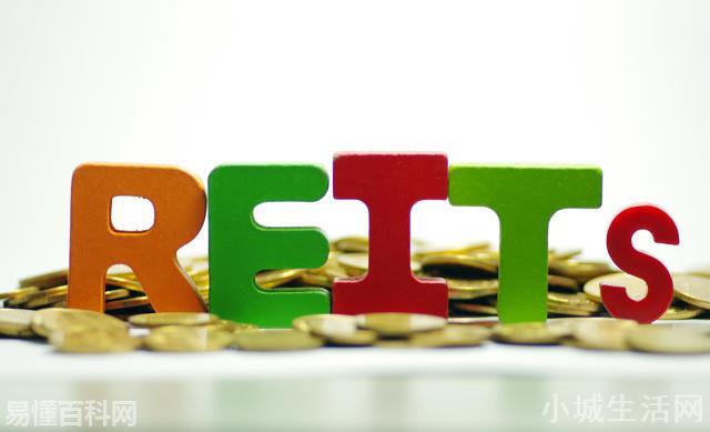 reits是什么意思(reits的网络用语是什么梗)