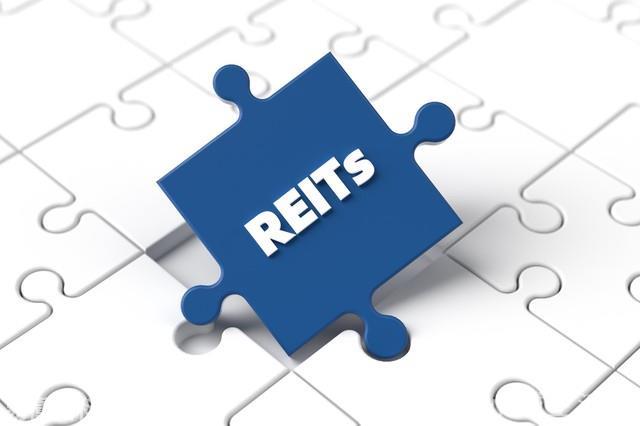 reits是什么意思(reits的网络用语是什么梗)