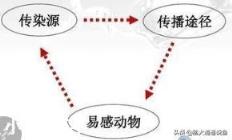 我养的鱼怎么总得病？