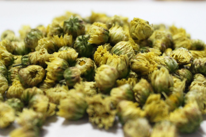 蕾菊的功效与作用_什么效果