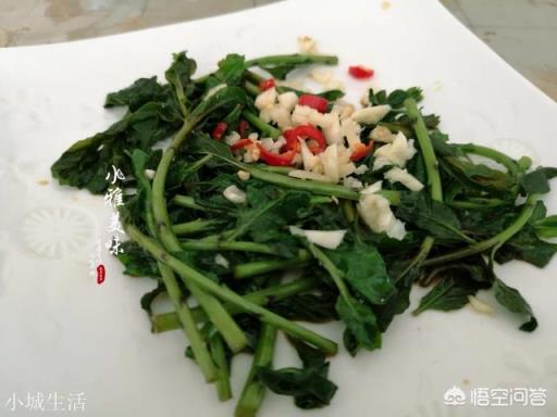 春天来了,你吃过枸杞尖吗?你是怎么制作的?