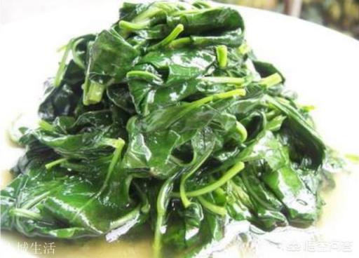 春天来了,你吃过枸杞尖吗?你是怎么制作的?
