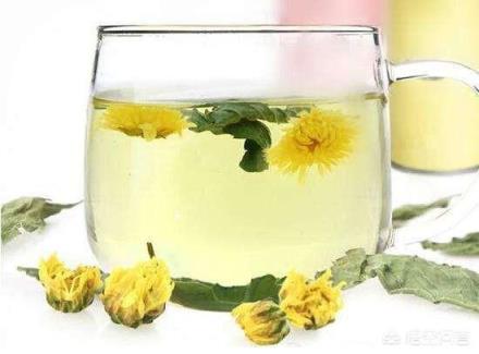 午后困困困，有什么提神醒脑的“神仙”下午茶吗？
