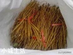 中药材赤芍怎样培植？如何达到高产？