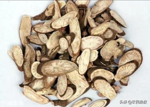 中药材赤芍怎样培植？如何达到高产？