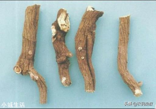 中药材赤芍怎样培植？如何达到高产？