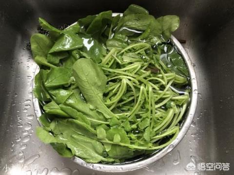 萝卜缨该怎么吃比较好？