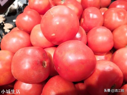 冬天番茄容易发生根腐病？怎么防治这种病害的发生？
