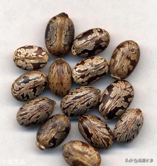 一个男人,最烧钱的爱好或兴趣是什么?